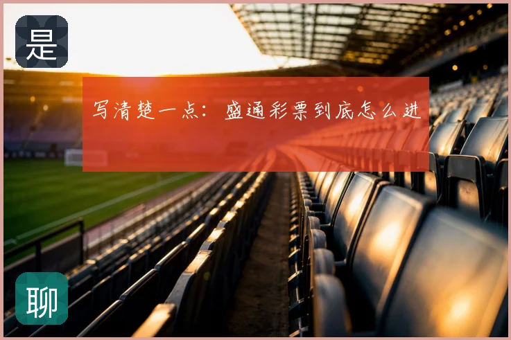 写清楚一点:盛通彩票到底怎么进